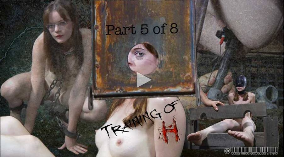 / Training of H Part 5 / Hazel Hypnotic